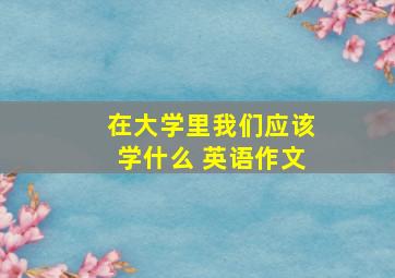 在大学里我们应该学什么 英语作文